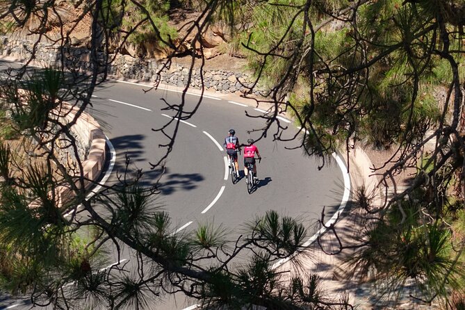 Road Cycling Tenerife - Vilaflor Route - The climb-focused itinerary: Vilaflor and Spain’s highest townhall stop