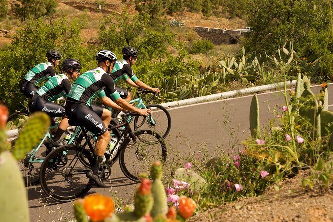 Road Cycling Tenerife - Vilaflor Route - Starting at Avenida V Centenario near Playa de las Americas
