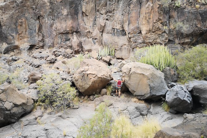 Rock climbing in natural space. - How the 3-hour session actually flows