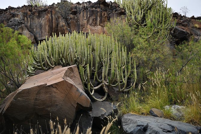 Rock climbing in natural space. - Weather, reschedules, and the one real catch