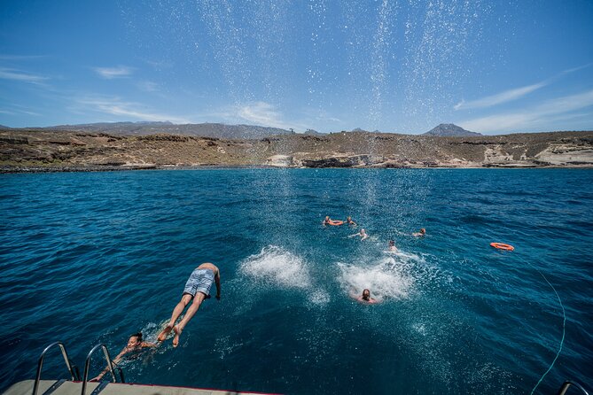 Royal Delfin 3H Dolphin & Whale Watching! Swimming & Lunch! - Crowding and comfort: when big capacity works (and when it doesn’t)
