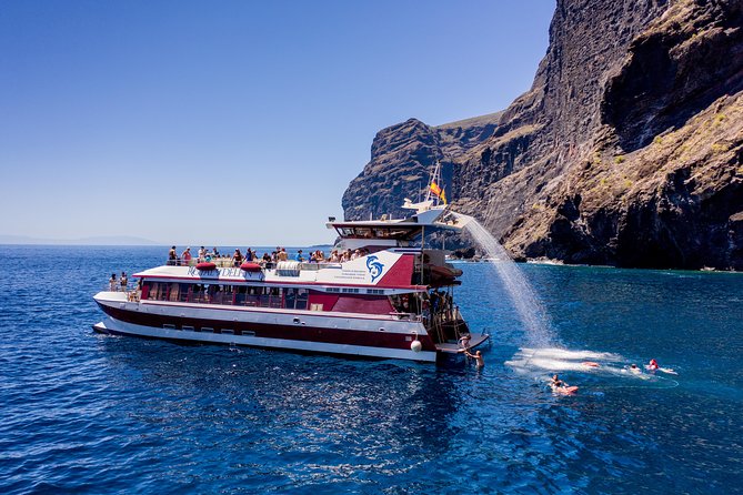 Royal Delfin - 4'5H Dolphin & Whale Watching - Los Gigantes Masca - Lunch & Swim - The Masca Bay swim stop and when lunch shows up