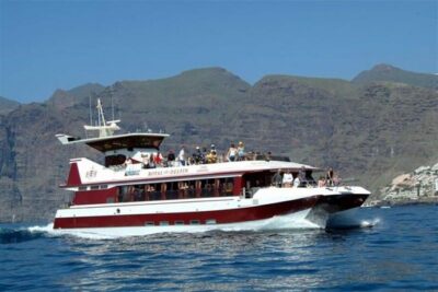 Royal Dolphin Whale watching excursion - Crowd levels and photo spots: small group, but still choose your strategy