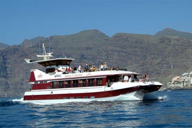 Royal Dolphin Whale watching excursion - Crowd levels and photo spots: small group, but still choose your strategy