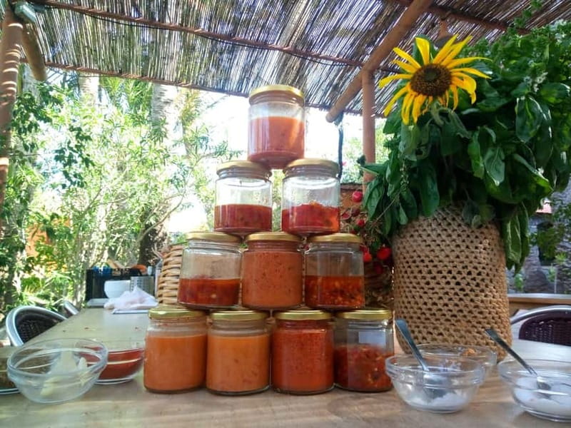 Rural Life Experience: Mojo Workshop and botanical Walk - Mojo in 3.5 Hours: how the day flows