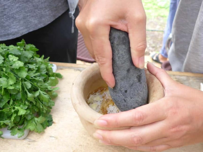Rural Life Experience: Mojo Workshop and botanical Walk - The botanical walk with Zdenka: plants, climate, and farm logic