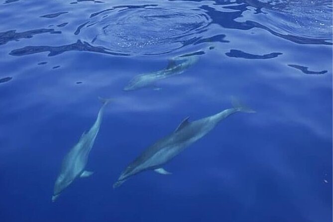 Sailing Yacht on a Private Charter - Snorkeling and swimming: gear ready, weather calling the shots