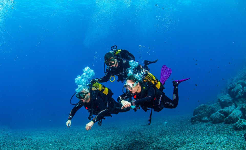 Santa Cruz de Tenerife: Advanced introductory course - Price and value: is $140 worth it?