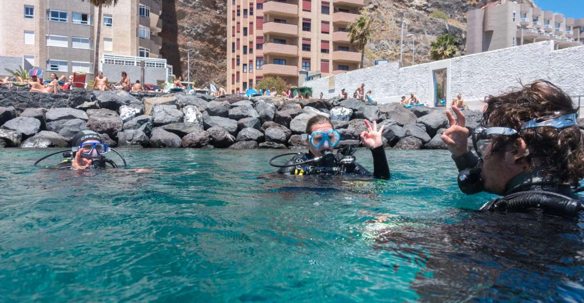 Santa Cruz de Tenerife: PADI Introductory Dive - Radazul Bay: the calm, protected water that makes your first session work