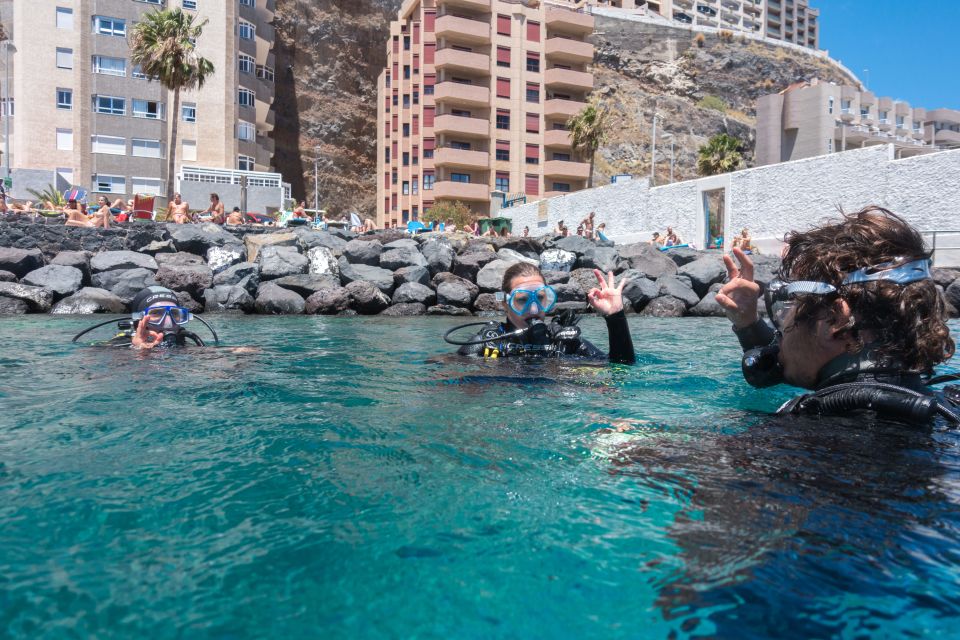 Santa Cruz de Tenerife: PADI Introductory Dive - The 30-minute safety briefing: what you’re really paying for