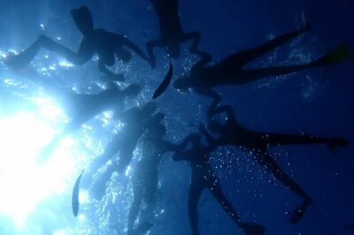 Scuba Adventure – 2 Guided Dives from Our Boat in Tenerife - Underwater Sessions: Two Guided Blocks With Real Marine Chances