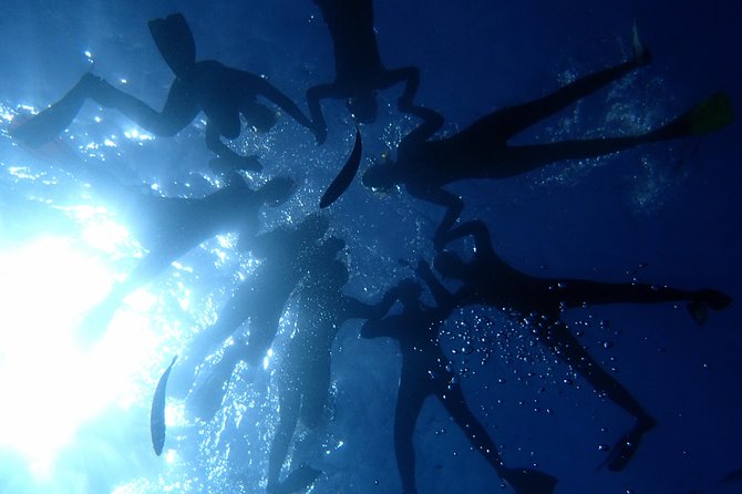 Scuba Adventure – 2 Guided Dives from Our Boat in Tenerife - Underwater Sessions: Two Guided Blocks With Real Marine Chances