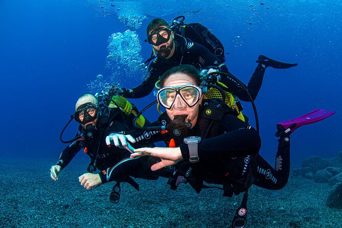 Scuba Diving Baptism Experience in Santa Cruz Tenerife - Arrival hour (0h to 1h): prep, equipment setup, and safety basics