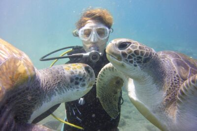 Scuba Diving Beginner's Session in Costa Adeje - The Open-Water Portion: Skills Check Up To 12 Meters