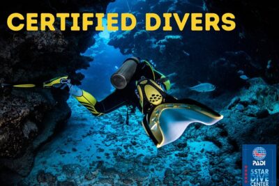 Scuba Diving for Certified Divers in Costa Adeje - Gear Included Means Less Carrying and More Actual Water Time