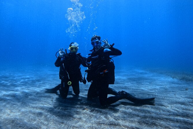 Scuba Experience in Tenerife with Guide - Key highlights I’d plan my morning around