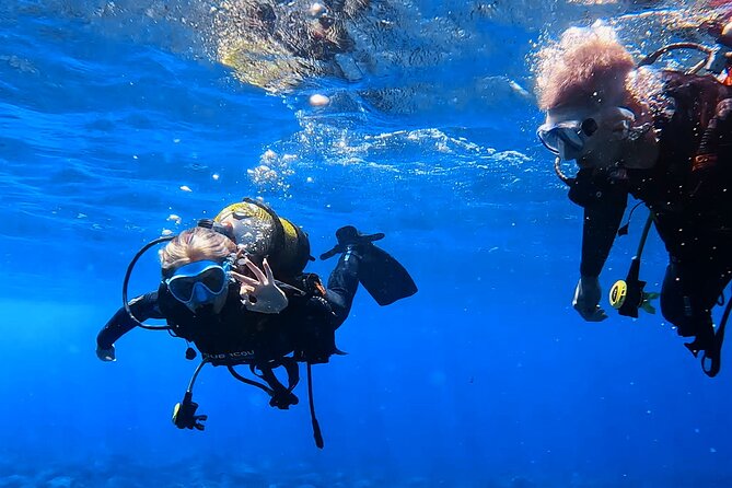 Scuba Experience in Tenerife with Guide - A small-group scuba trial in Tenerife (3 hours that actually feel like a plan)