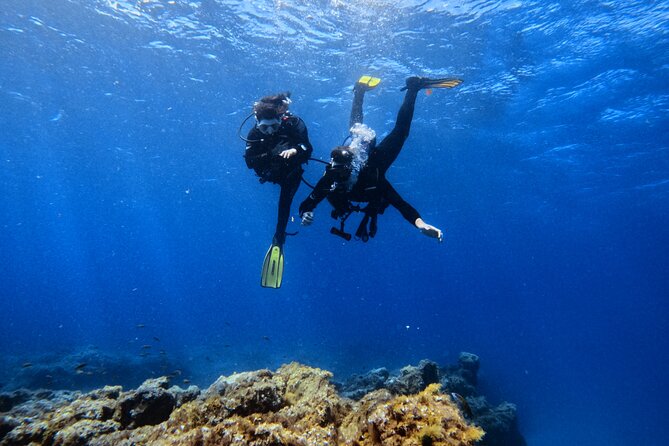 Scuba Experience in Tenerife with Guide - Price and value: what $90.11 covers (and what you’ll want to budget for)
