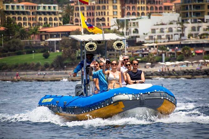 SEA SAFARI, Dolphins, Whales, snorkeling, snack and drink, 2 h speedboat - A 2-hour Atlantic speedboat is the whole point