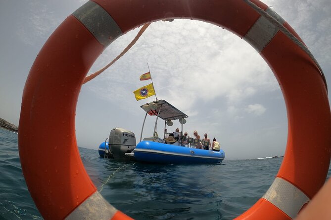 SEA SAFARI, Dolphins, Whales, snorkeling, snack and drink, 2 h speedboat - Snorkeling or swimming: your chance to be part of the scene