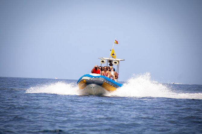 SEA SAFARI Dolphins,Whales, snorkeling, snack, drink, 3h private - Key highlights you’ll actually care about