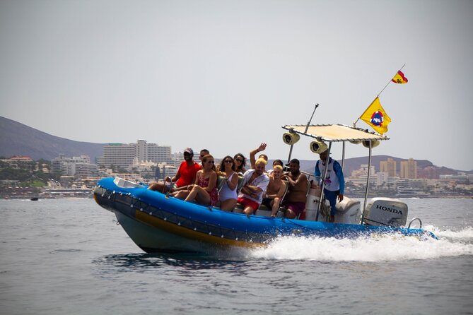 SEA SAFARI Dolphins,Whales, snorkeling, snack, drink, 3h private - Snorkeling gear and on-board snacks: fewer logistics, more fun