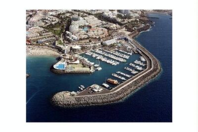 SEA SAFARI Dolphins,Whales, snorkeling, snack, drink, 3h private - The 3-hour flow: wildlife search, drift time, then swim and snorkel
