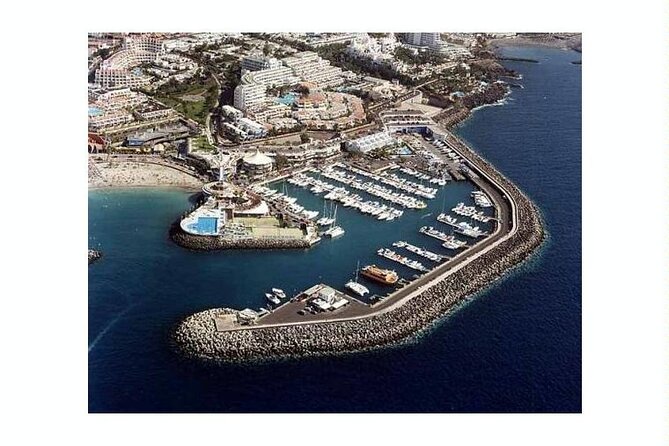 SEA SAFARI Dolphins,Whales, snorkeling, snack, drink, 3h private - The 3-hour flow: wildlife search, drift time, then swim and snorkel
