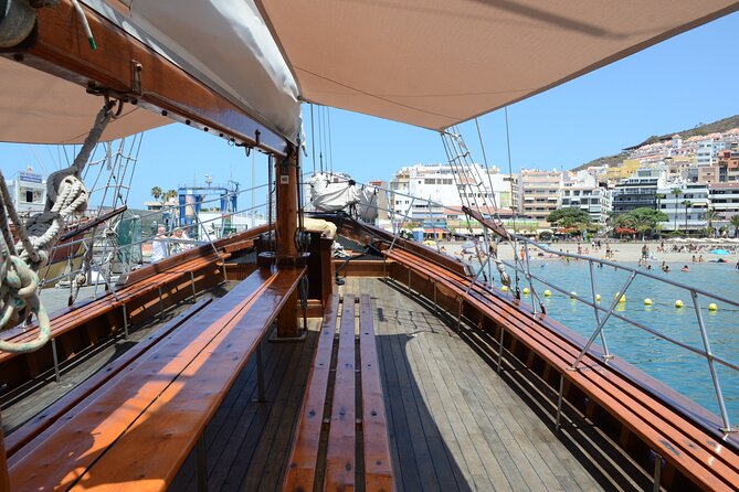 Sealife Dolphin & Whale Watching aboard Portuguese schooner - Quick Hits: what makes this tour worth your time