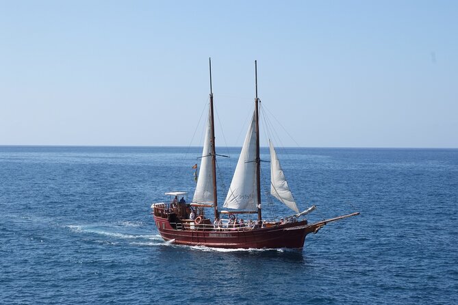 Sealife Dolphin & Whale Watching aboard Portuguese schooner - A Portuguese schooner that turns spotting cetaceans into a story