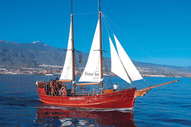 Sealife Dolphin & Whale Watching aboard Portuguese schooner - The Portuguese schooner experience: decks, open bar, and pirate-movie energy
