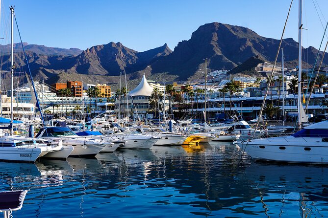 Secret Volcano Tour by Tuk Tuk in Costa Adeje - Price and Value: What $29.04 Buys You for One Hour