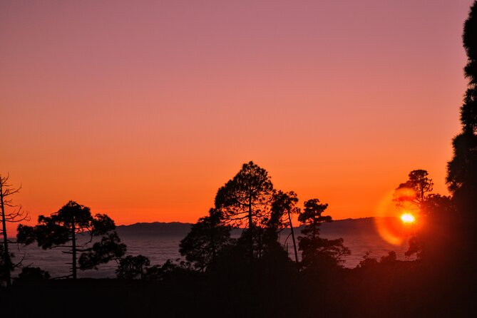 Self Drive Sunset & Stargazing in Teide National Park with Dinner - Timing and logistics that make or break night-sky plans