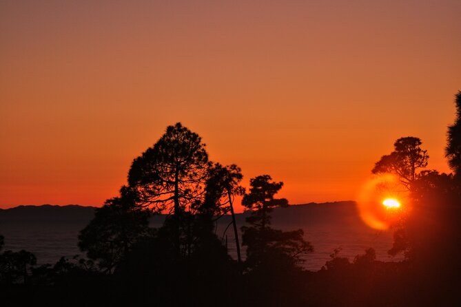 Self Drive Sunset & Stargazing in Teide National Park with Dinner - Who this tour fits best (and who should skip it)