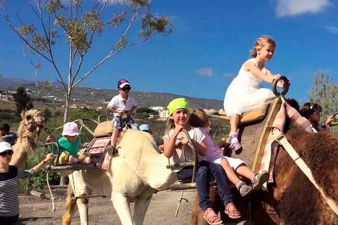 Skip the Line: Camel Park Tenerife Ticket - Priority Entry and the Real 25-Minute Flow