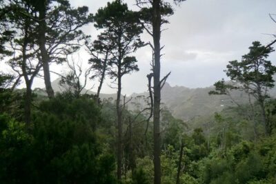 Small Group Guided Hiking in Anaga Rural Park in Tenerife - The 3-Hour Route: Monte de La Orilla, Camino de Solís, and Shaded Trails