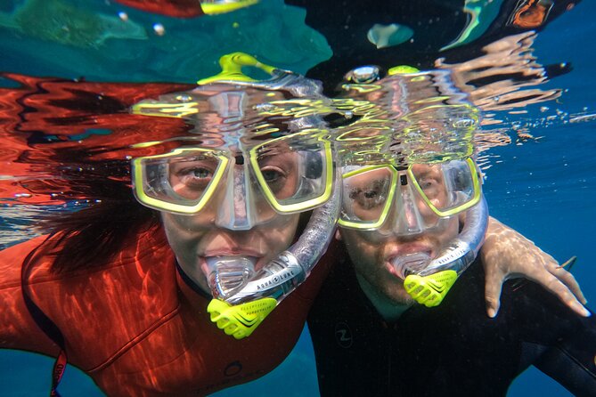 Small Group Snorkeling in Abades Bay with Licensed Guide - The protected reef and the guided hour: what to expect in the water