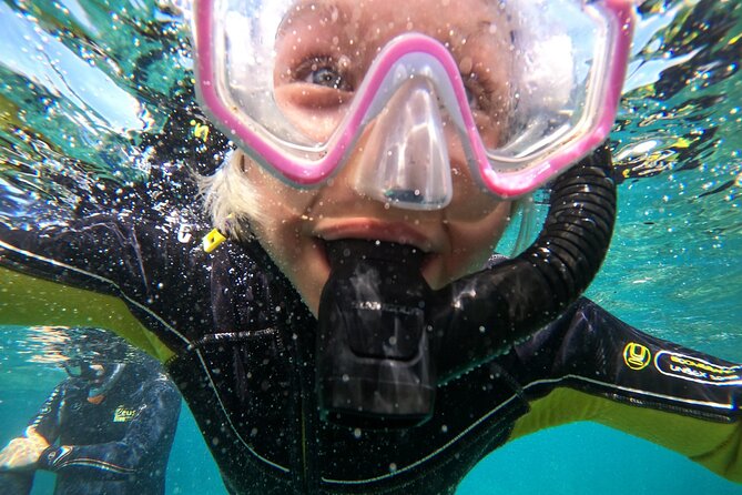 Small Group Snorkeling in Abades Bay with Licensed Guide - Who this tour suits (and who should think twice)