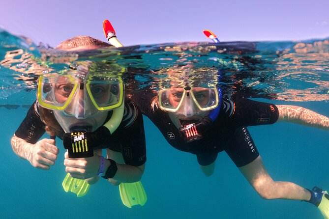 Small Group Snorkeling in Abades Bay with Licensed Guide - From briefing to first snorkel breaths: how the 3 hours really play out