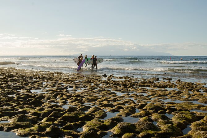 Small Group Surf Lesson in Playa de las Americas - Where the lesson feels practical: safety theory you can actually use