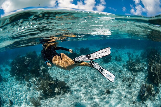 Snorkel Rental 24h, discover Tenerifes Ocean on your own! - Key things that make this snorkel rental work