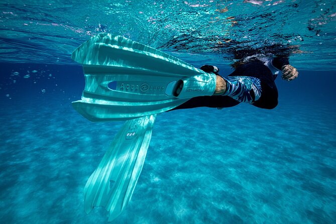 Snorkel Rental 24h, discover Tenerifes Ocean on your own! - Checking in at Av. Colón, 11 (and how to plan your first swim)