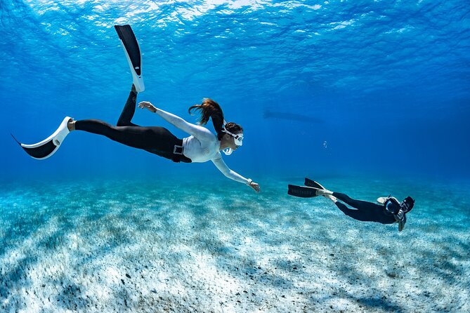 Snorkel Rental 24h, discover Tenerifes Ocean on your own! - Exploring on your own: freedom with a small catch