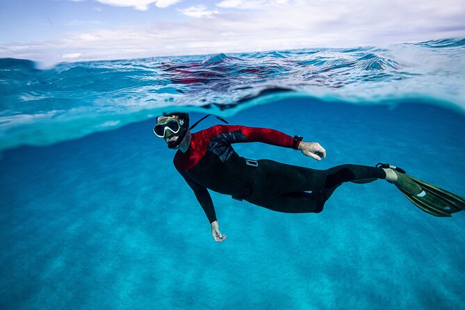 Snorkel Rental 24h, discover Tenerifes Ocean on your own! - What the water experience tends to feel like