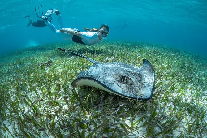 Snorkel Rental 24h, discover Tenerifes Ocean on your own! - What’s in the kit (and why it matters for comfort)