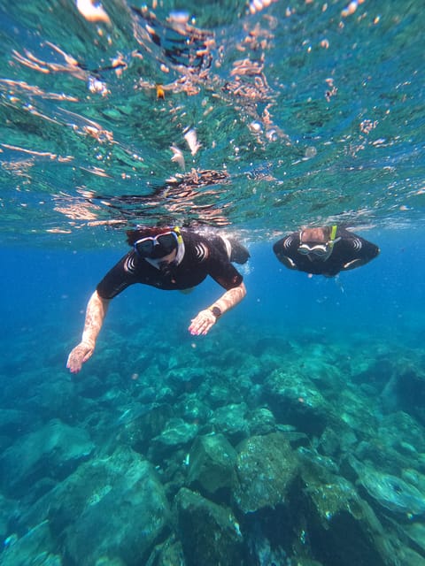 Snorkeling Boat Trip in Marine Turtles Natural Habitat - Key things to know before you go