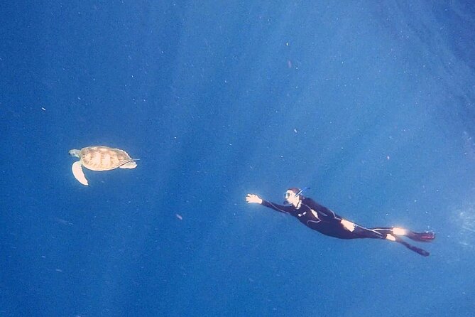Snorkeling excursion in the Rayas and Turtles Zone - Rayas and Turtles Zone: why the in-water time matters