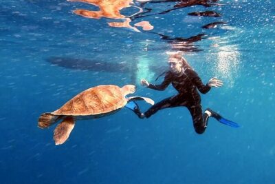 Snorkeling excursion in the Rayas and Turtles Zone - Marina del Sur vs Abades: what changes on departure day
