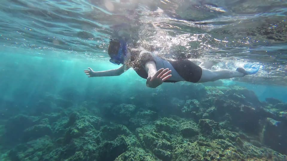 Snorkeling in a Volcanic Bay - Los Abrigos: why Tenerife’s volcanic bay is a great first snorkeling step