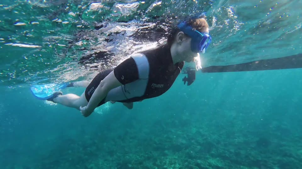 Snorkeling in a Volcanic Bay - The photo report: the best souvenir if you’re bad at underwater photos